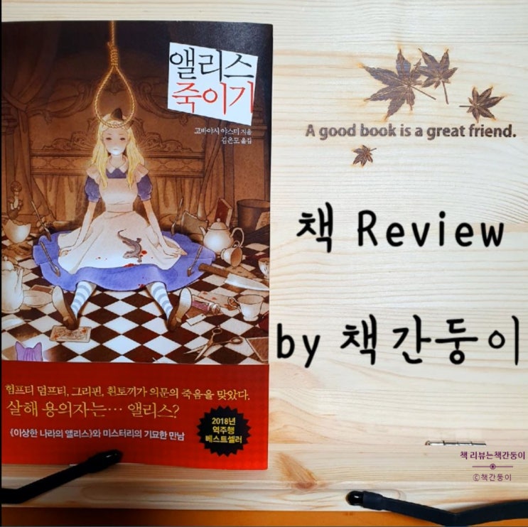  이상한 나라의 살인 <앨리스 죽이기>