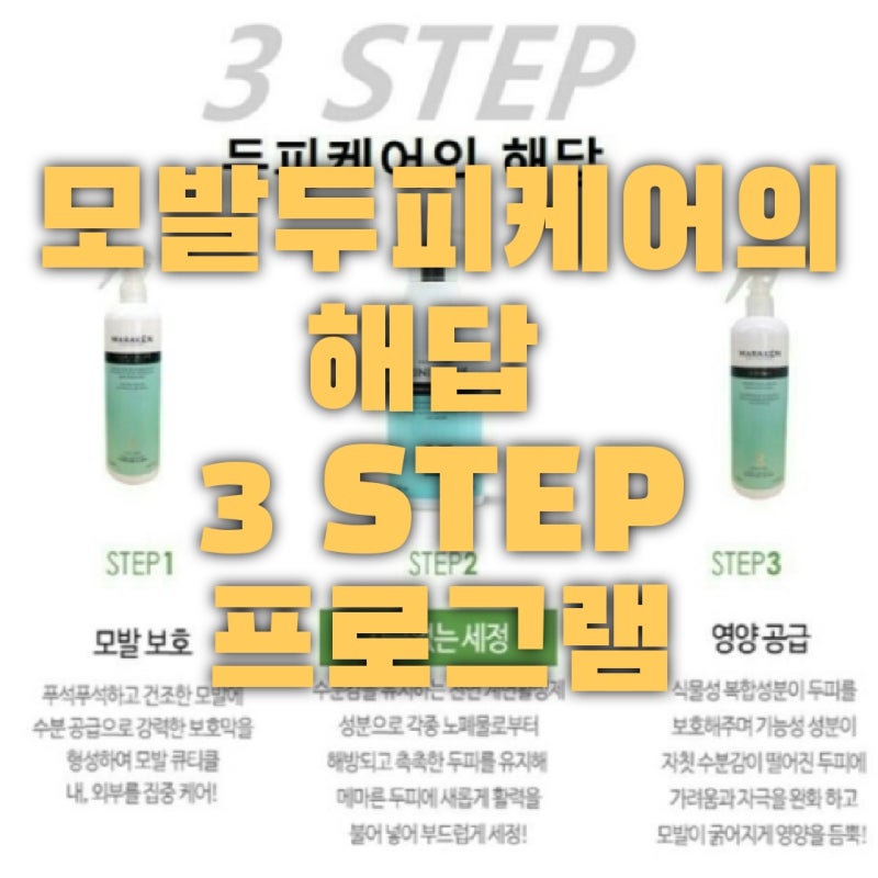 모발의 양이 많아지는 방법 꾸준한 케어가 정답