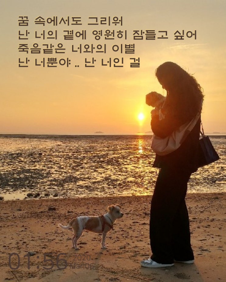  그리는 것외에는 할게 없다