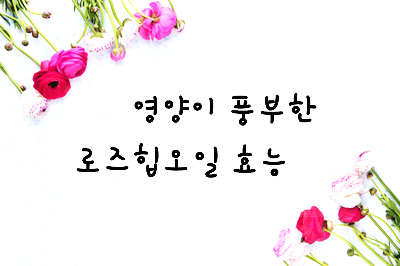  [화장품성분] 로즈힙오일(Rosehip oil)