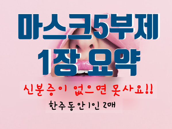 마스크5부제 마스크요일제 딱 1장으로 요약(대리구매 업데이트)