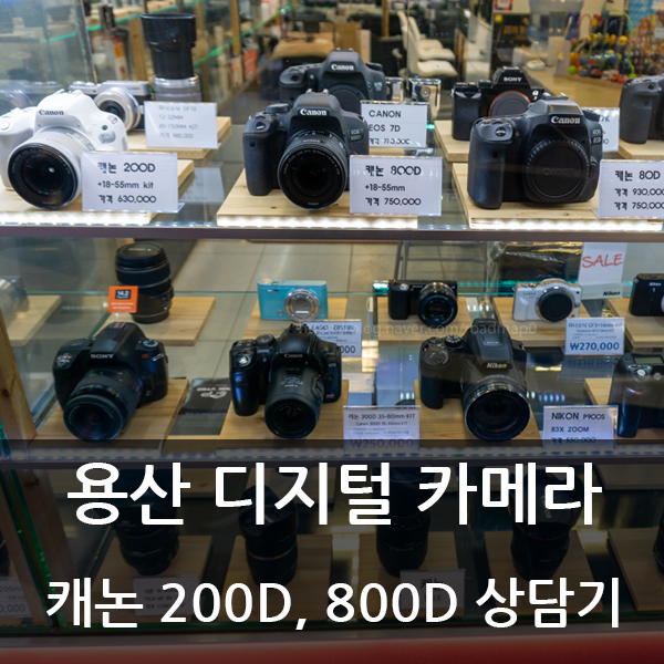 용산카메라 캐논 200D vs 800D 친절한 상담기