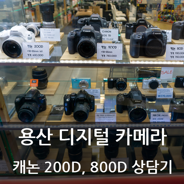  용산카메라 캐논 200D vs 800D 친절한 상담기