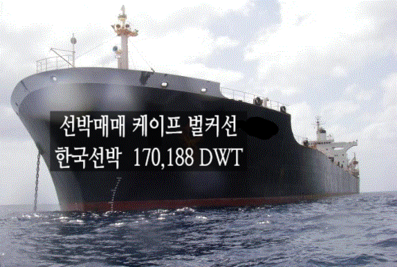  중고선박매매 선박매매 케이프싸이즈 벌거선 한국 선박