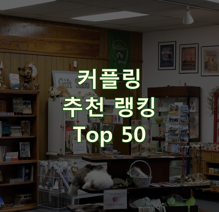  가성비 좋은 커플링 순위 Top 50