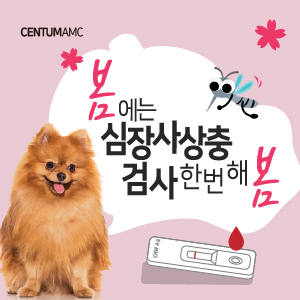  봄에는 심장사상충 검사 한번 해 봄! (부산 수영역 동물병원, 센텀동물메디컬센터, 연중 예방, 감염 키트 검사)