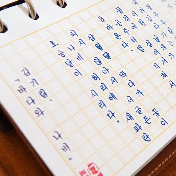  바다와 나비 (브라우즈 스테노닙)