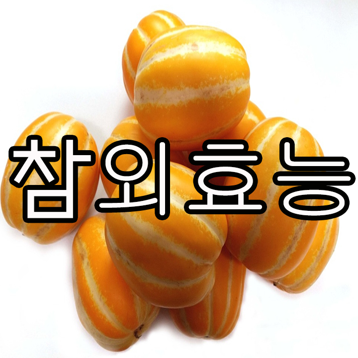  다이어트에도 좋고 칼로리도 낮은 참외의 효능