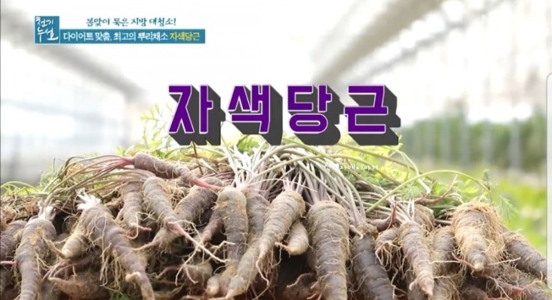 천기누설 자색당근 효능 먹는법 안토시아닌 풍부한 자색당근즙