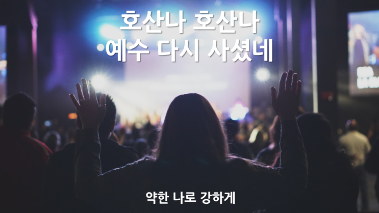  약한 나로 강하게