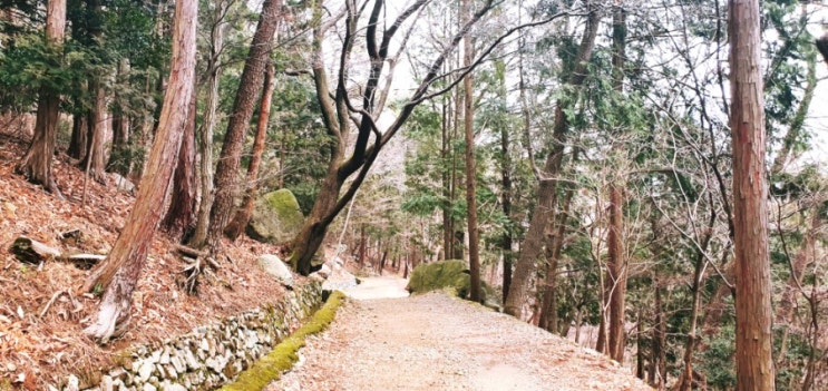 구덕산(꽃마을) 산책