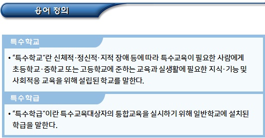 특수교육교원의 자격, 배치 및 관리 특수교육교원의 자격, 배치 및 관리