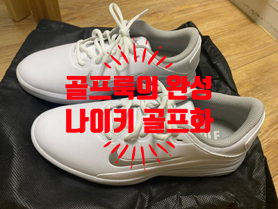  스포츠 키워드 - “나이키골프화” 가성비를 따져 보자