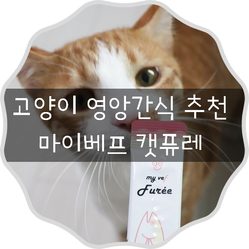 수의사가 만든 영양간식 고양이 간식 마이베프 참치퓨레 국산 츄르