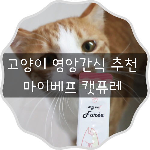  수의사가 만든 영양간식 고양이 간식 마이베프 참치퓨레 국산 츄르