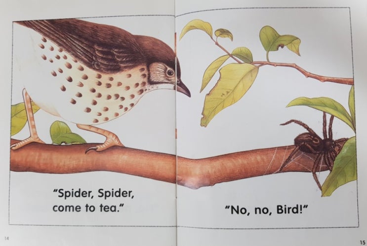 [선샤인북스-SUNSHINE BOOKS] 아이영어책 Level 1-4. Spider, Spider 리뷰