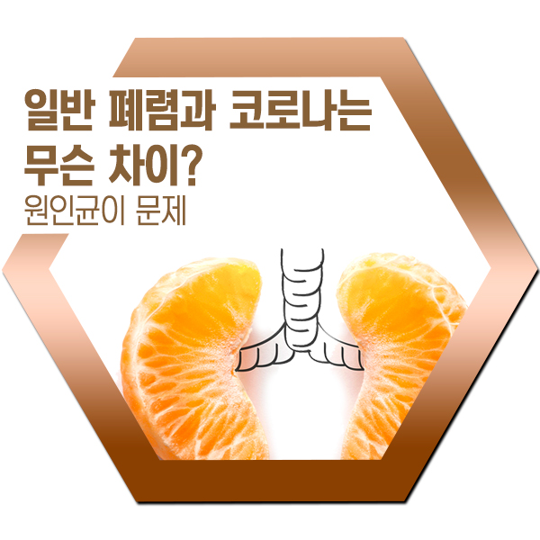  코로나와 일반 폐렴의 차이