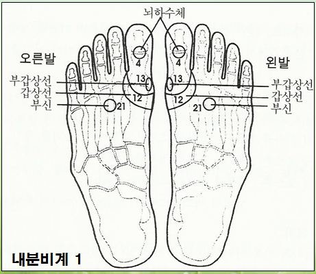 발관리 발마사지 발지압 발반사요법(5편) 발반사구 감각기계 근골격계 내분비계 : 네이버 블로그
