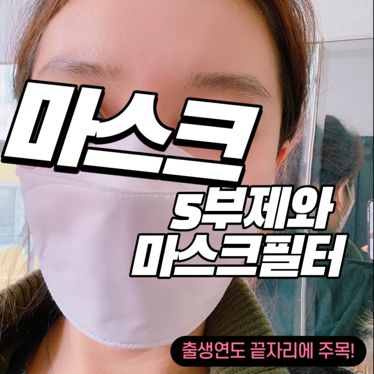 마스크5부제 구매절차! 면 마스크 필터 원단 사용법