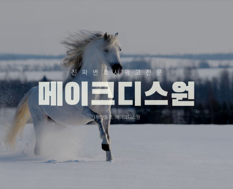  진짜 변호사 광고 회사 MTO 소개