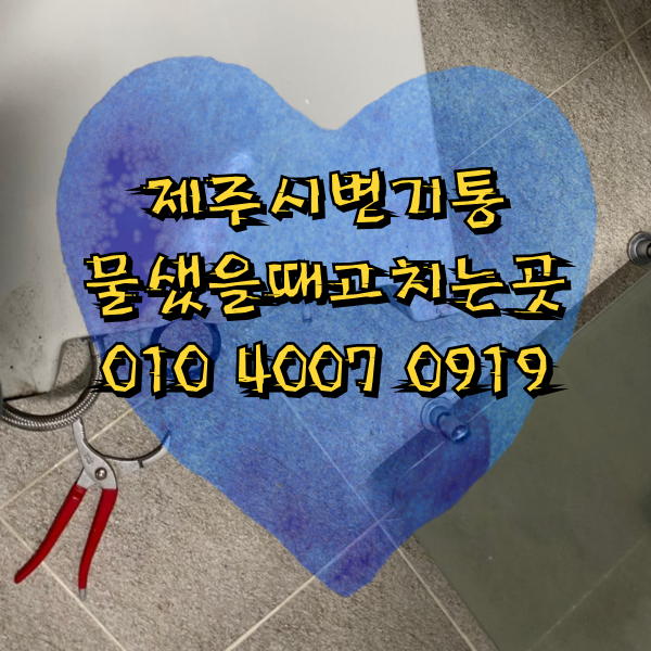  제주시변기통 물샜을때  고치는 곳