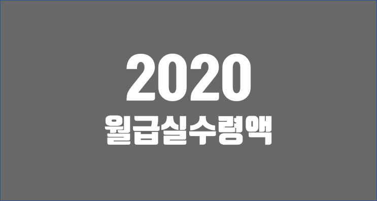 2020 월급 실수령액 / 그래서 세금떼고 내 손에 얼마 떨어지냐고요? / 월급세금계산기