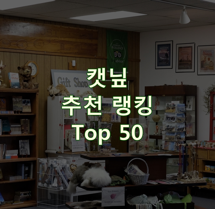 가성비 좋은 캣닢 랭킹 Top 50