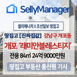  땅집고 [진짜 집값] 서울 강남구 개포동 래미안블레스티지 84 24억9000만원