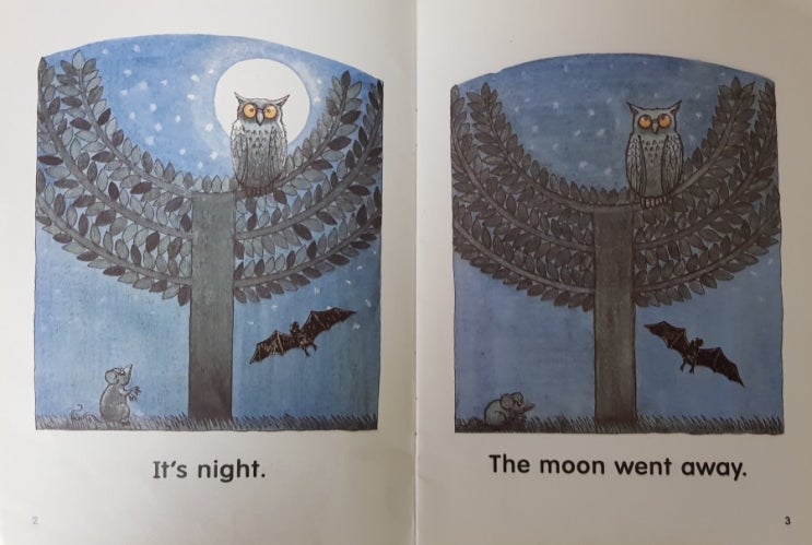  [선샤인북스-SUNSHINE BOOKS] Level 1-5. Night 리뷰