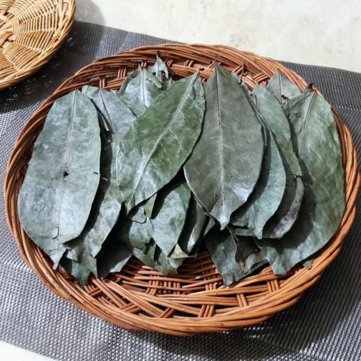  면역력 높이는 차 그라비올라 건잎 효능 및 먹는 법 구입처