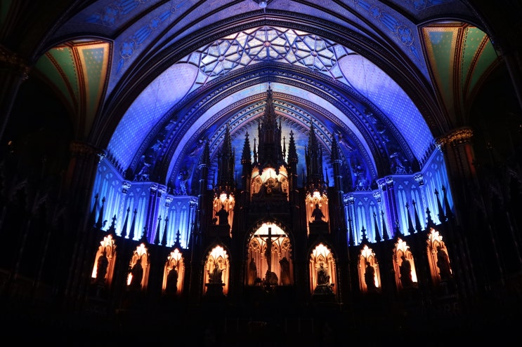 20분 간의 황홀한 빛의 향연, 몬트리올 노트르담 대성당 아우라쇼를 보다