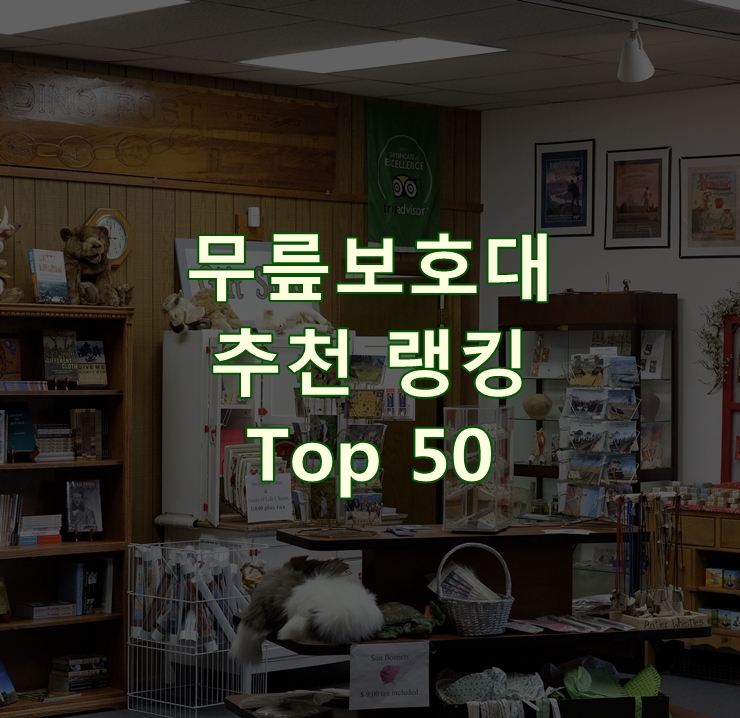 가성비 좋은 무릎보호대 랭킹 Top 50