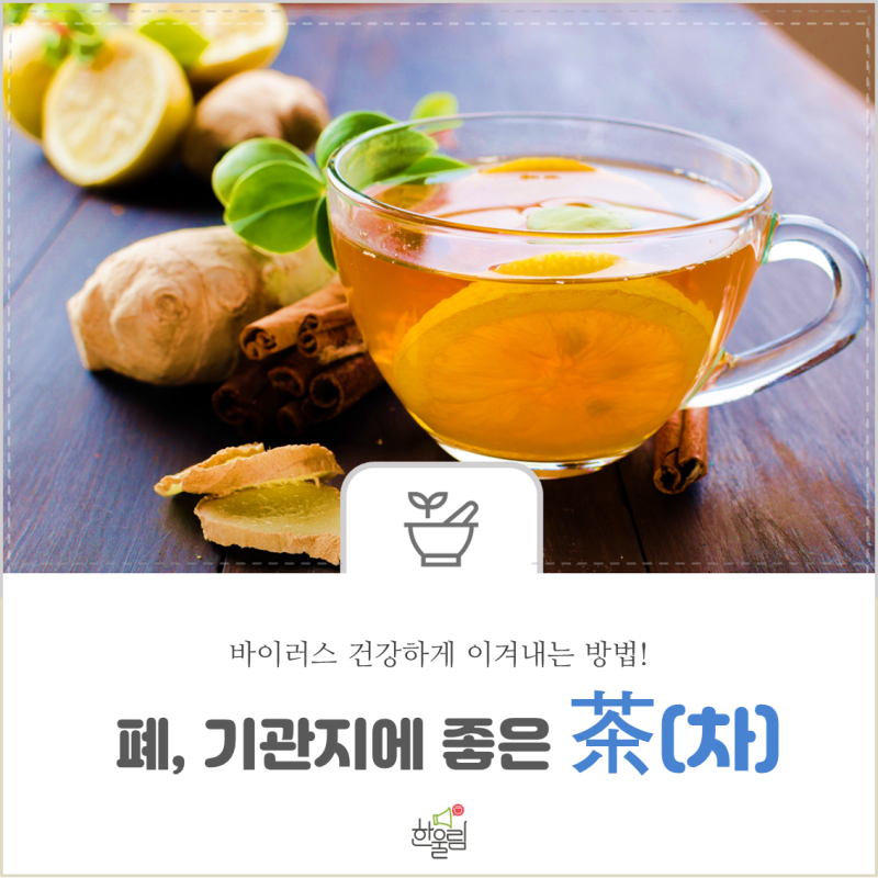 봄나물 원추리 효능 원추리꽃 독성 원추리뿌리 망우초 부작용 춘곤증 통풍 당뇨병에 좋은 다식