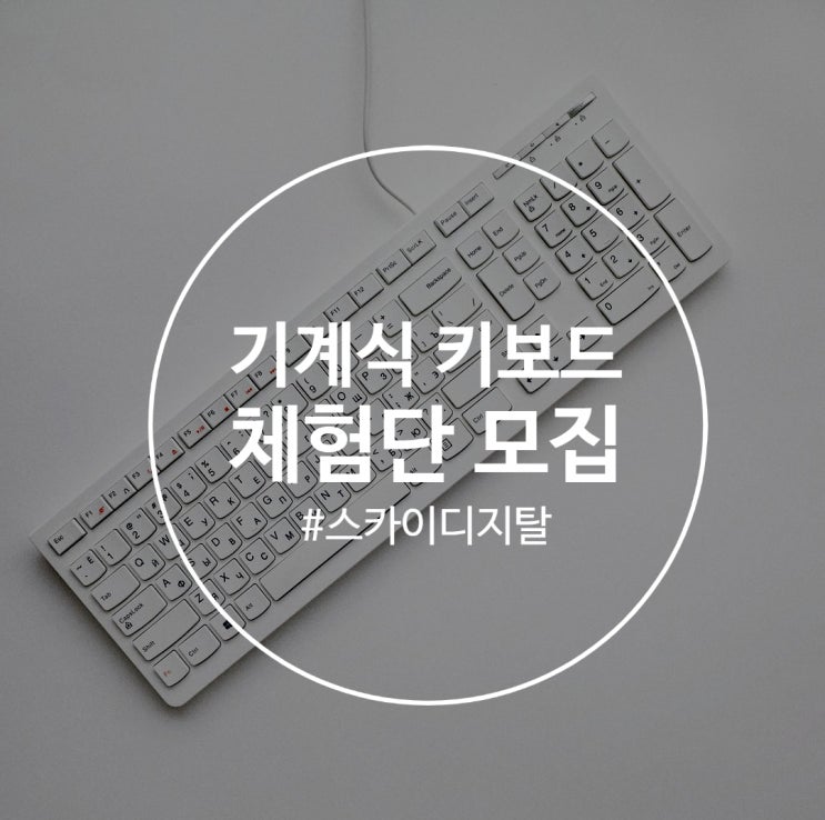  [체험단모집] 유무선 기계식 키보드 체험단 관련 공유합니다 : )