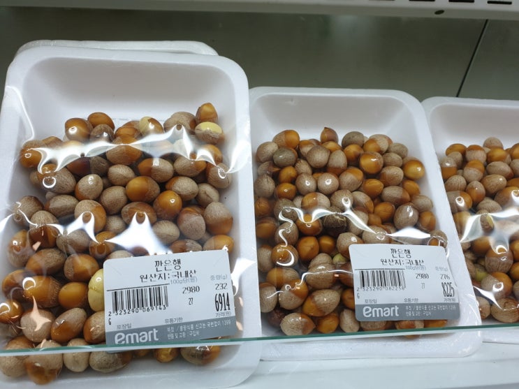  기침에 좋은 음식 이것이 정답!