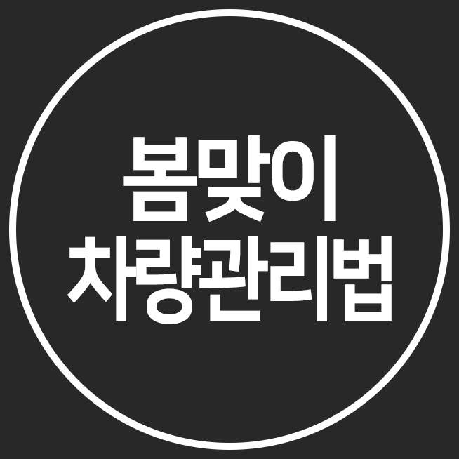 봄철차량관리 봄철차량관리