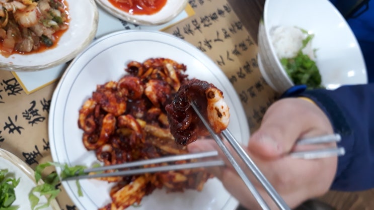  제주 속초집 불향이 가득한 "쭈꾸미볶음" 동문시장 근처 우리동네 맛집