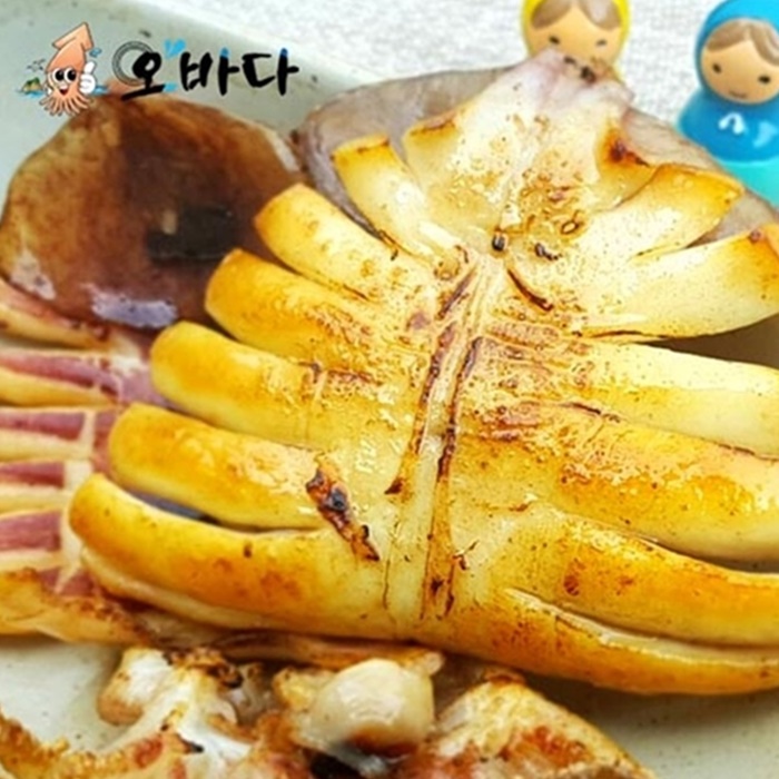  리뷰가 좋은 마른오징어 !!! 바로그놈. 20가지 컬렉션 모아 봤습니다. 