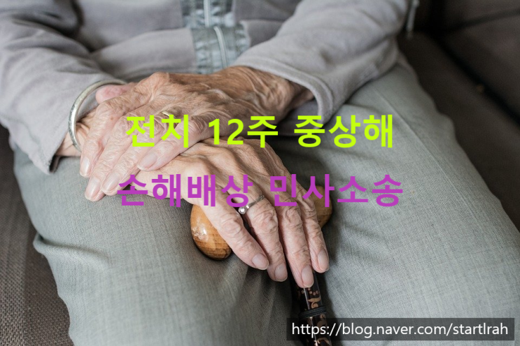  지하철역 보행자 충돌 사고, 민사 손해배상소송 승소 사례 (조정성립)