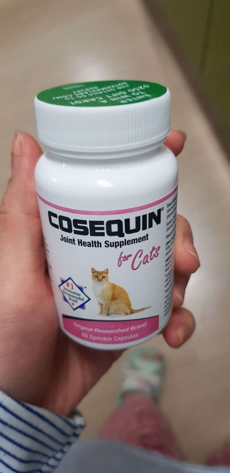  고양이 관절을 위한 코세퀸 캡슐