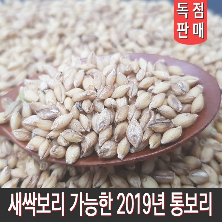  소문난 제품 남외정미소 새싹보리 재배 가능한 19년 통보리쌀 보리차 미숫가루 1개 5kg 보고 결정하시죠~