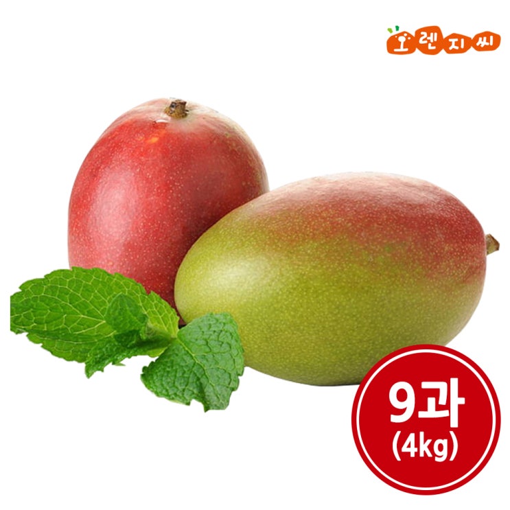오렌지씨 페루산 생 애플망고 9과~10과 (4kg), 단품 추천해요 오렌지씨 페루산 생 애플망고 9과~10과 (4kg), 단품 추천해요