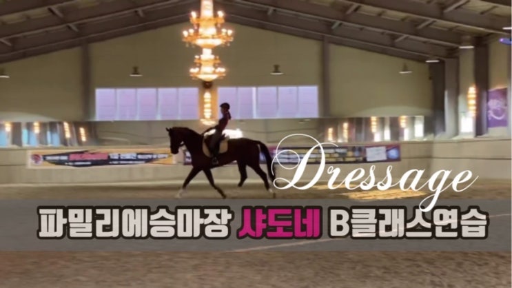 파밀리에승마장 독일 웜블러드 마장마술 말, 샤도네와 시저 기승소감 & B클래스, A클래스 훈련 돌입!! 2020시즌 첫 대회 C클래스, D클래스 1위 영상