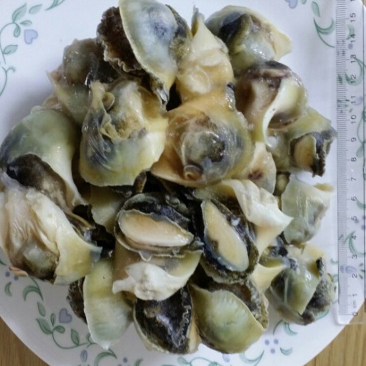 프라임 냉동 참소라살, 1팩, 1kg(34~40개) 추천해요 프라임 냉동 참소라살, 1팩, 1kg(34~40개) 추천해요