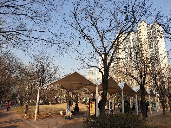  코로나19, 연결성, 회복의 봄