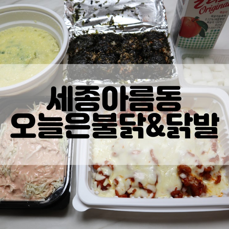  (세종아름동맛집) 세종시닭발 추천 '오늘은 불닭&닭발'
