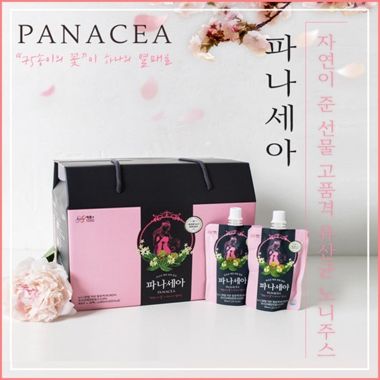  파나세아 노니주스 유산균 베름 EF-2001 사균체 면역력 1조마리 고농도 프로바이오틱스 프리바이오틱스 신바이오틱스 발효노니 프리미엄, 80ml, 26포