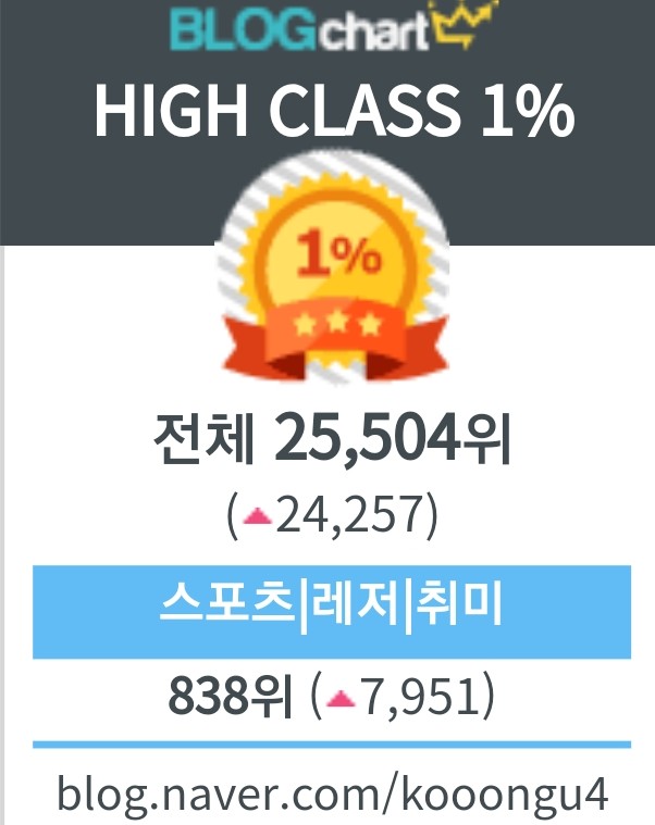  [네이버블로그순위]'블로그차트'로 유효키워드보기