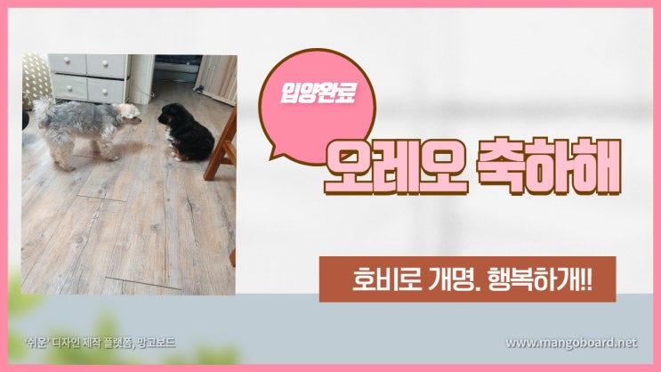 입양완료 성동구에서 구조된 2개월령 믹스견 오레오 가족을 만났어요. 입양완료 성동구에서 구조된 2개월령 믹스견 오레오 가족을 만났어요.