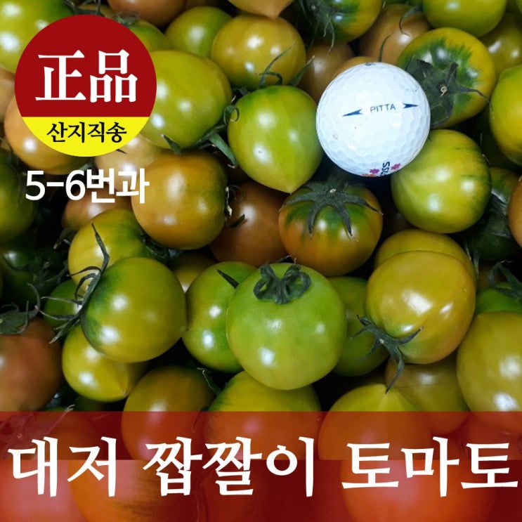 대저 짭짤이토마토 산지직송 짠맛 단맛 신맛을 함께 느낄 수 있는, 1box, 2.5kg(5-6번과) 추천해요